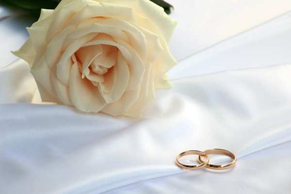 Two engagement rings next to a rose
