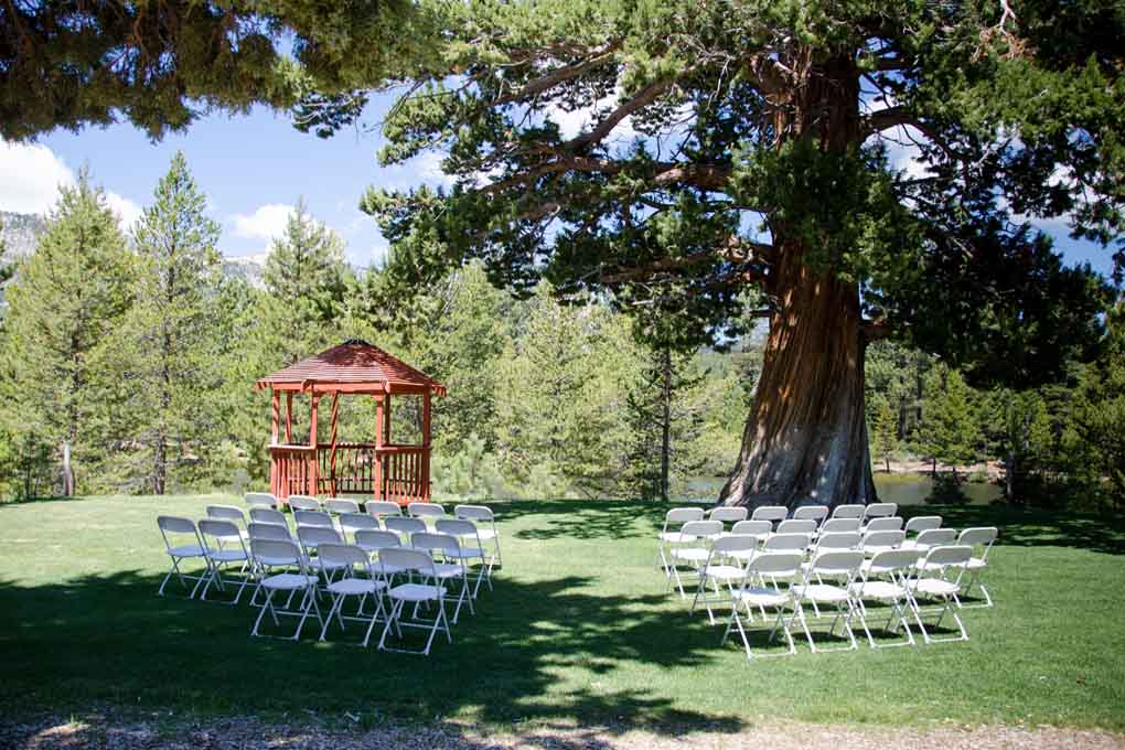 Chairs are erected in front of the gazebo and tree