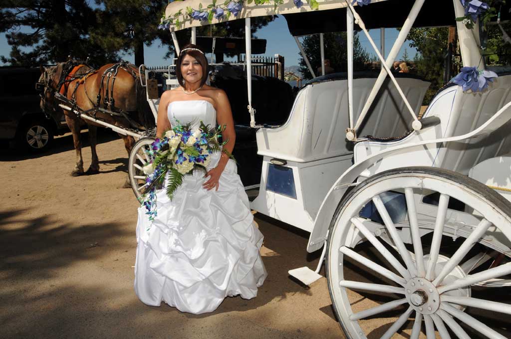Bride poses next to the horse and carriage prior to her walk down the matrimonial aisle