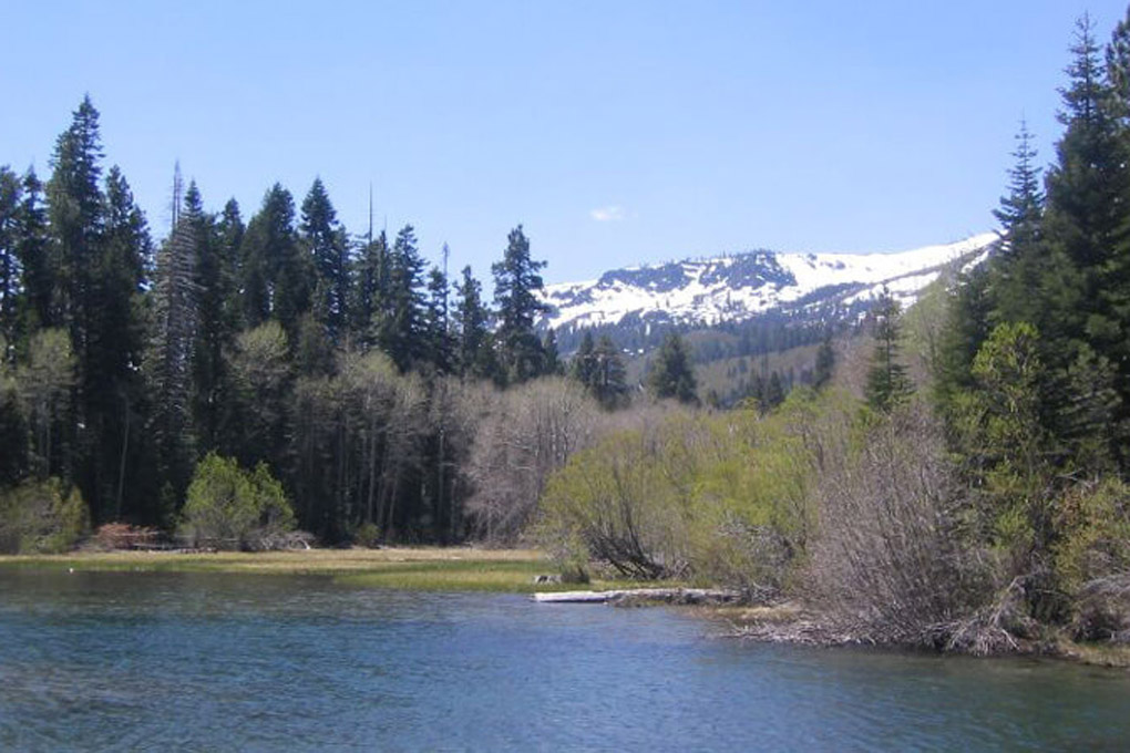 Lake and forest scene with mountainous backdrop