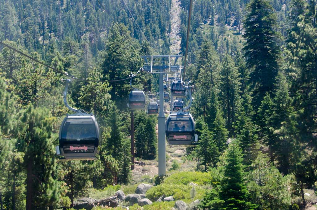 Gondola cars traveling up the mountainside