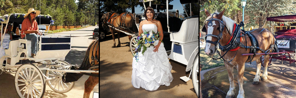 A photo montage of the horse and carriage arriving at The Arch at Lakeside Beach and also of the bride standing next to the carriage