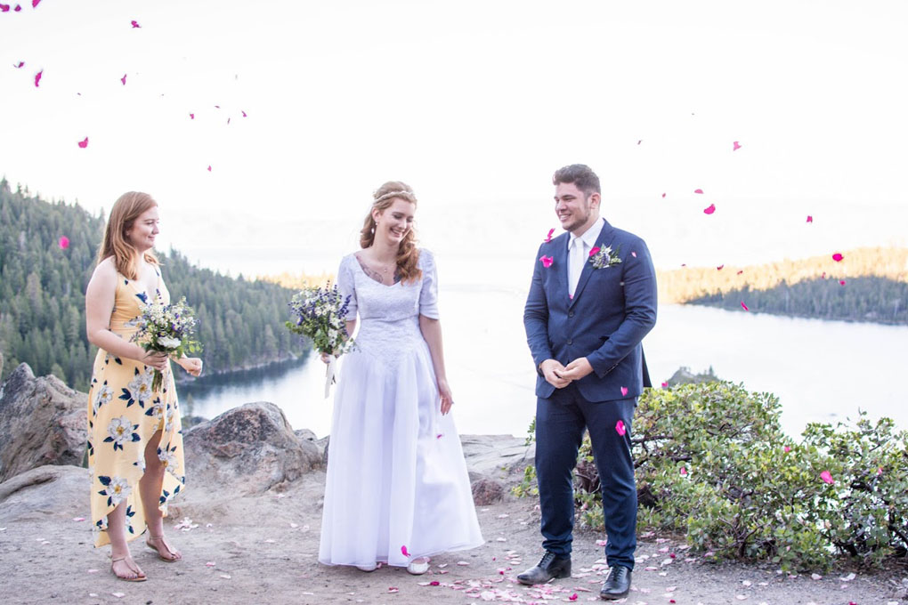 Rose petals floating over the wedding party